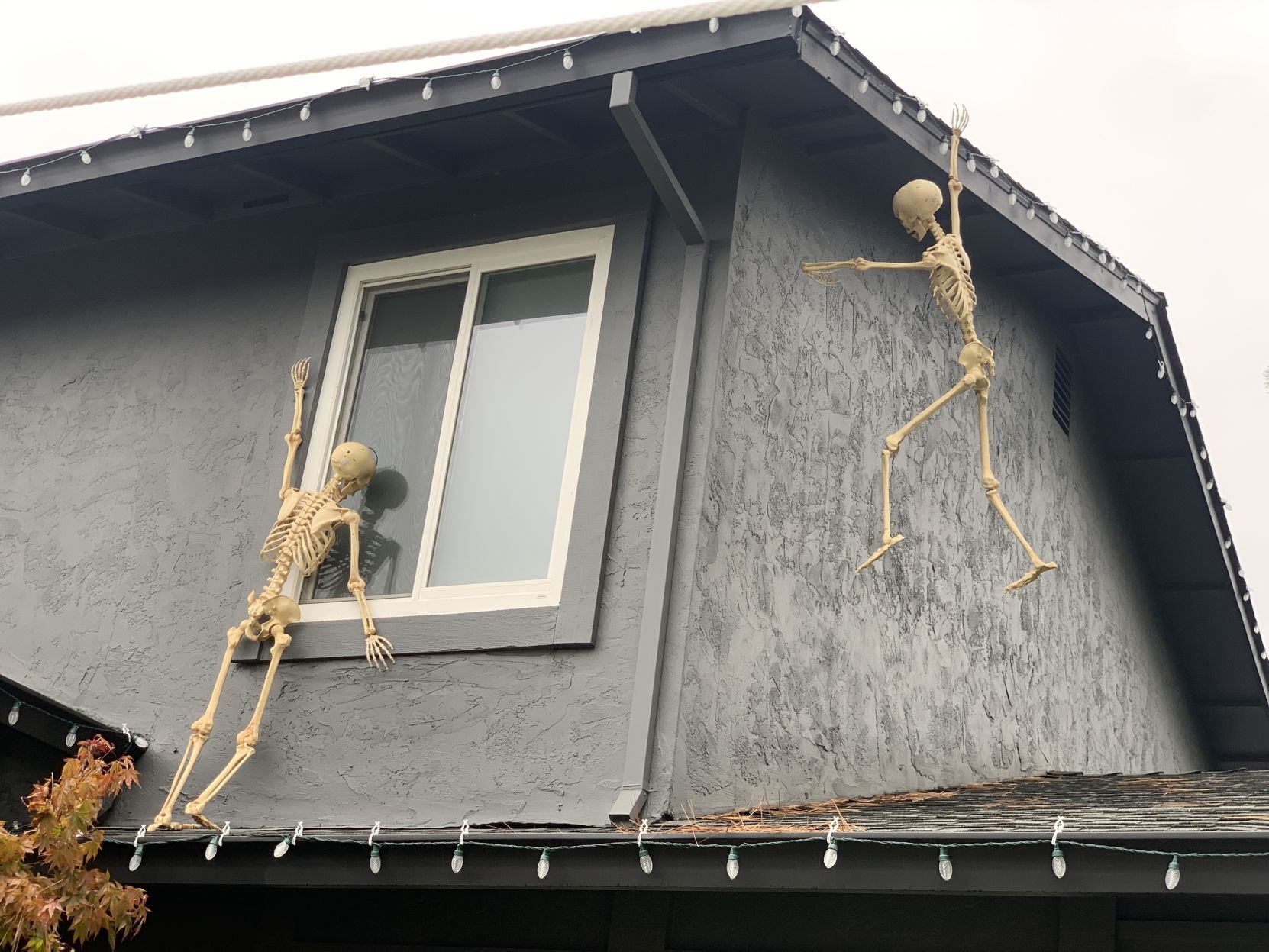 Skeletons take over Napa house for Halloween